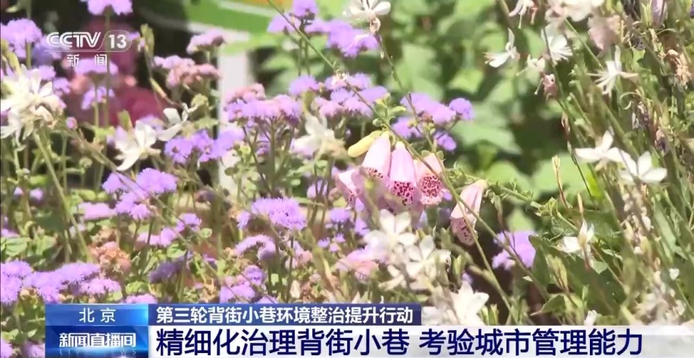 完美电竞北京用“绣花”功夫治理背街小巷 市民:心情很舒畅(图2)