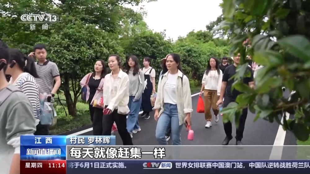 开云体育 开云官网“四好农村路”是如何将幸福路铺到村民家门口的？(图6)