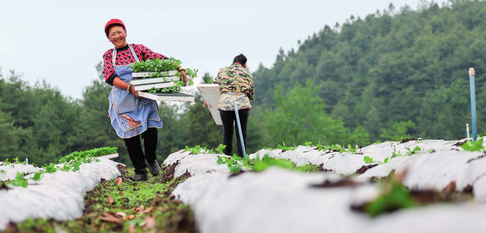 半岛官网瞭望·治国理政纪事｜做好绿水青山就是金山银山这篇大文章(图2)