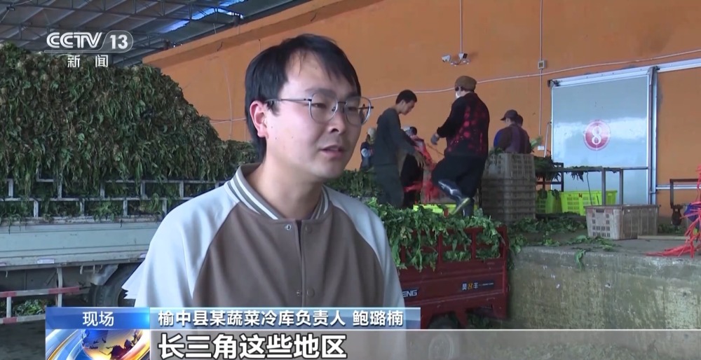 兰州高原夏菜上市 每天有2000吨蔬菜发往南方市场(图3)