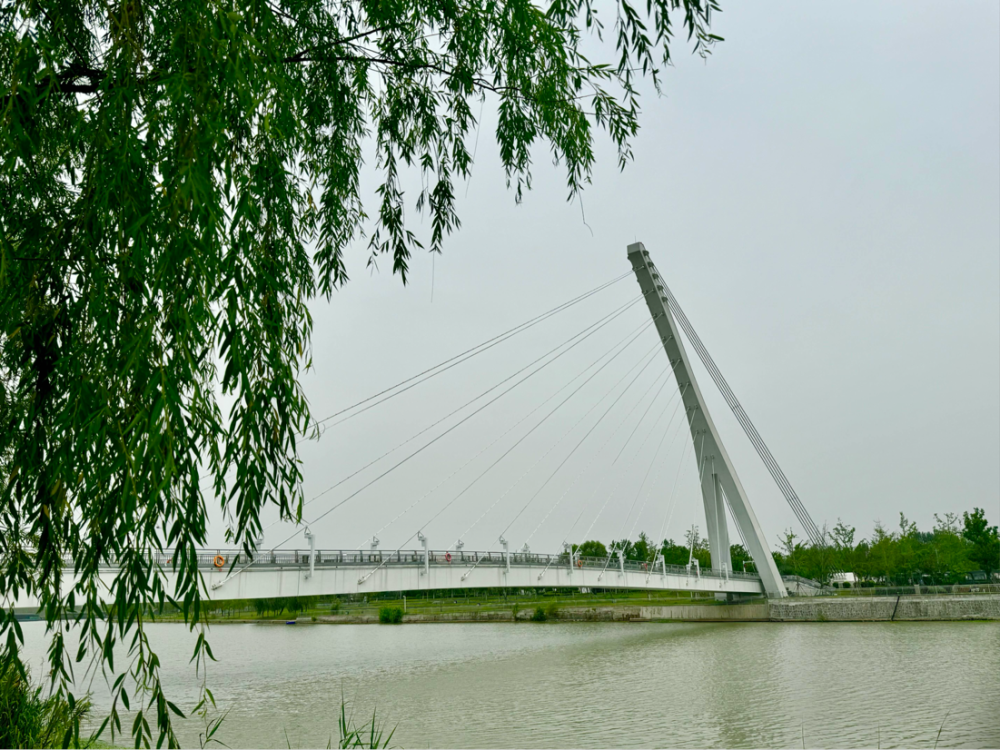 星空综合体育何以中国 运载千秋丨古老运河“流”进现代生活宿迁擦亮运河文化新名片(图2)