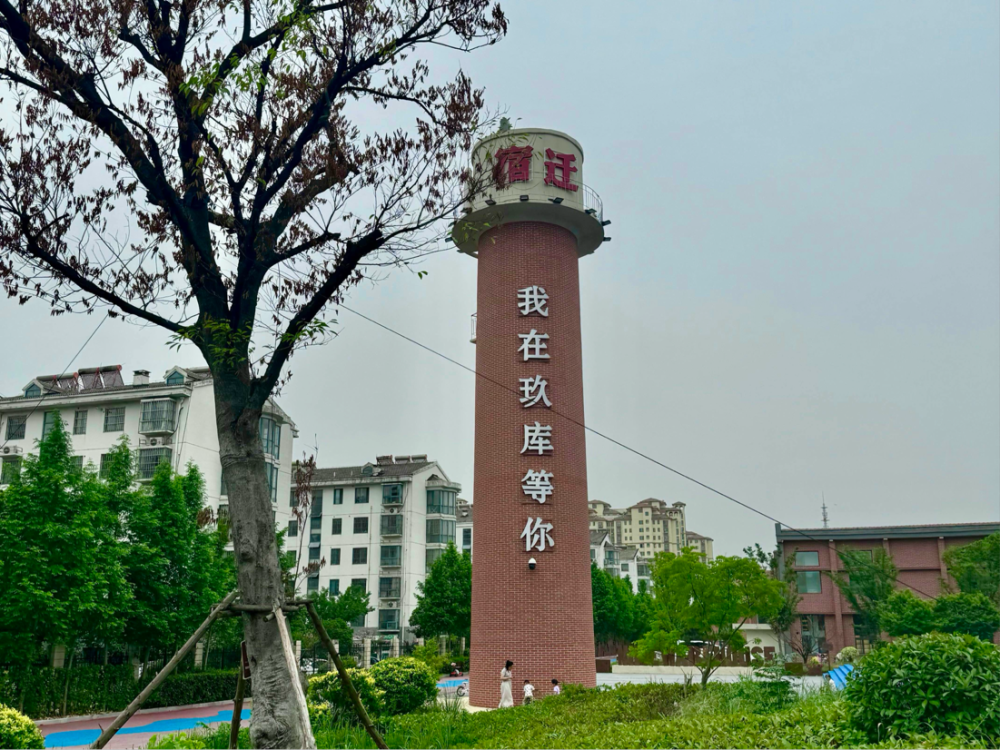 星空综合体育何以中国 运载千秋丨古老运河“流”进现代生活宿迁擦亮运河文化新名片(图4)