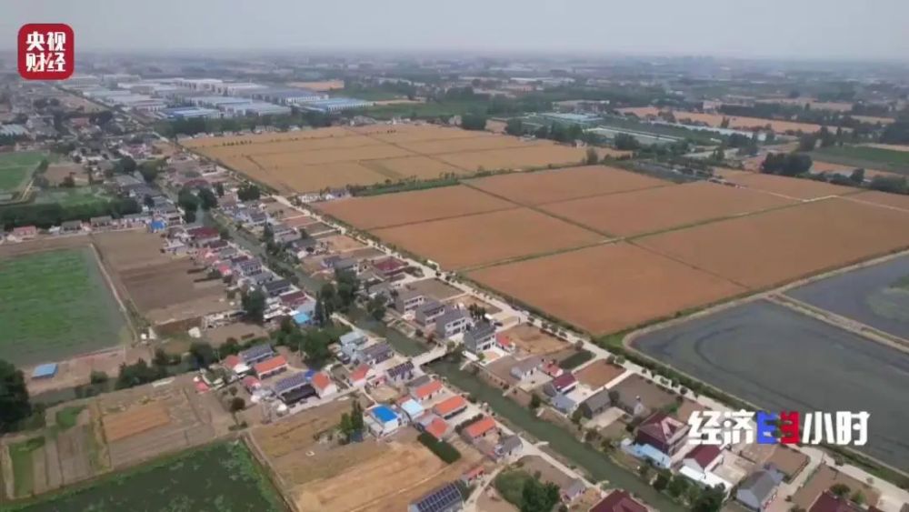 高地租有限价了！这里土地流转推出“熔断”机制！记者探访→