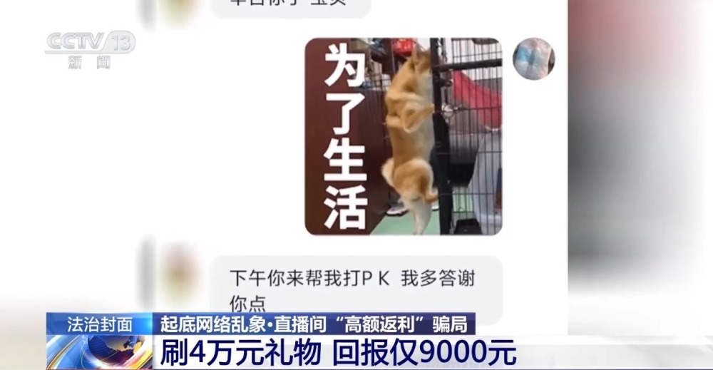 法治在线丨博主PK诱骗粉丝刷礼物 起底直播间“高额返利”骗局