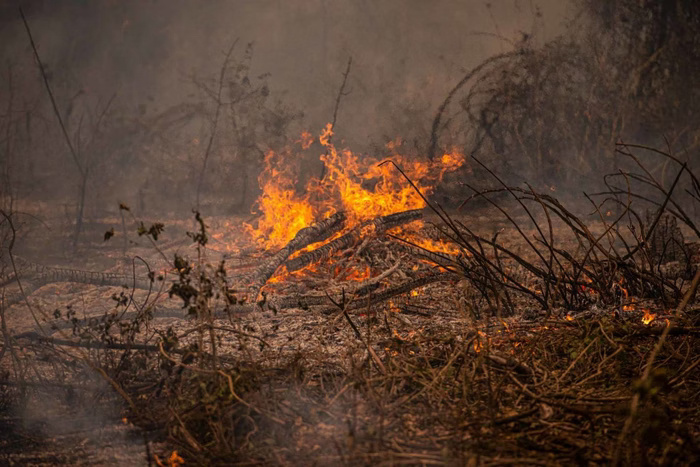 气候干旱火灾频发 巴西潘塔纳尔湿地本月已发生619起火灾