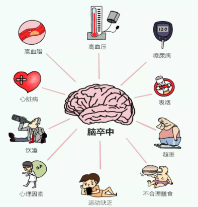 每12秒就有一人发生，如何远离脑梗？-第3张图片-中国中医健康网