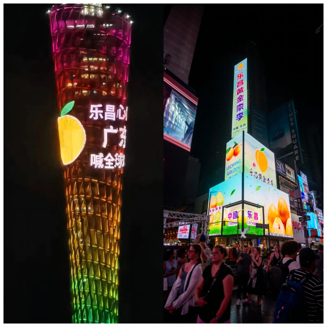 乐昌黄金柰李登广州塔、在美国纽约时报广场亮屏。
