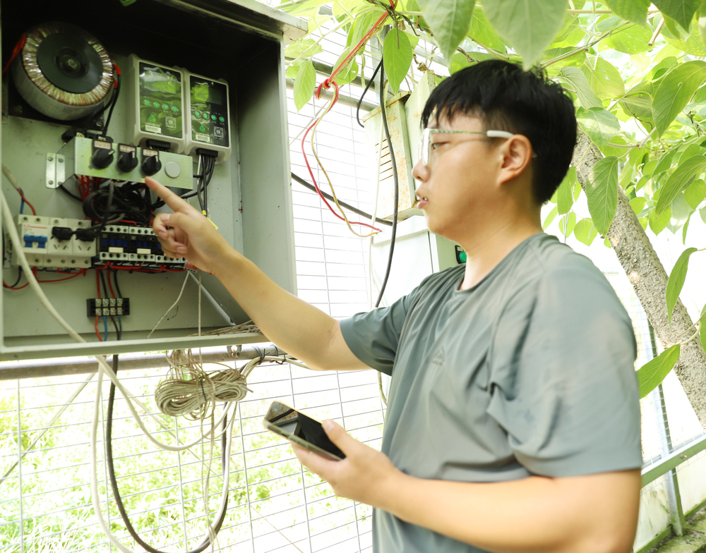 山海协作数字化平台助力山地果树效益提升