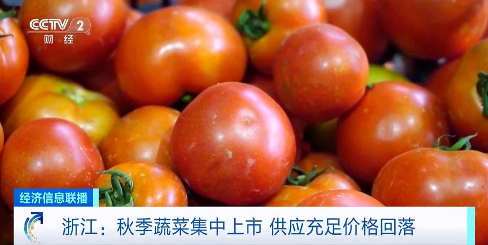 “菜篮子”更丰富了！秋季蔬菜集中上市 供应充足价格回落