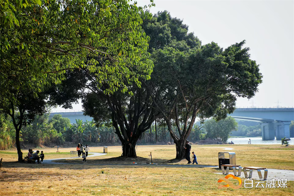 方石村废弃沙场变身滨水公园