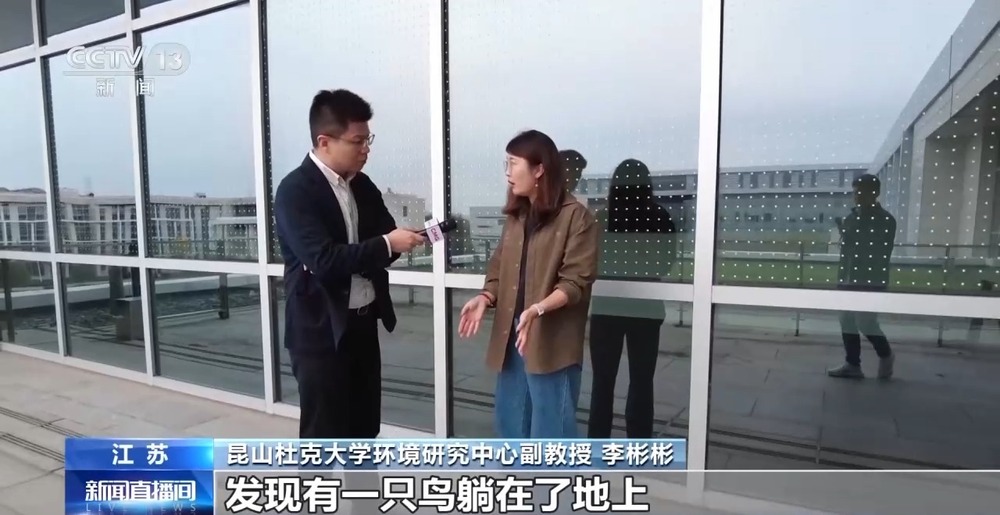 城市玻璃幕墙居然成了“鸟类杀手”?_央广网