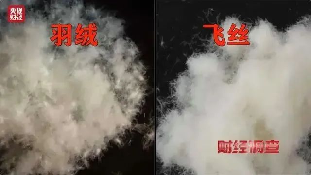 羽绒服爆大雷3000多元买的羽绒服拆开全是飞丝许多网友剪开了自己的衣服……(图3)