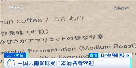 日本年进口云南咖啡生豆超900吨！云南咖啡香飘海外