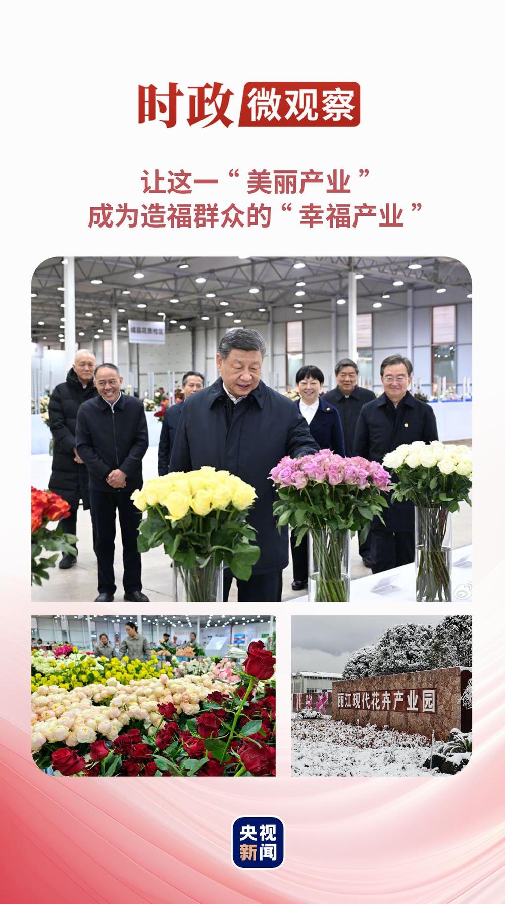 时政微观察丨生活像花儿一样美_央广网