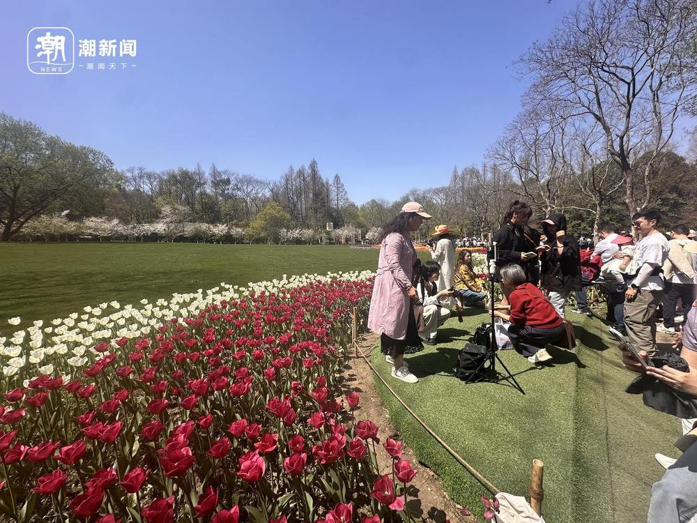 “杭州一平方米的浪漫”升级