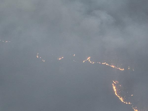 别让春天 “火” 出圈!森林草原防火于未“燃”_央广网