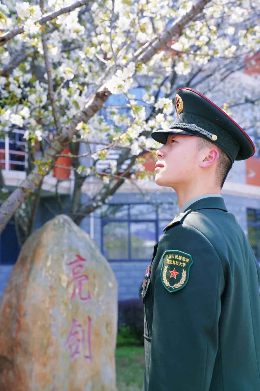 开了开了!这是中国军校的春日浪漫