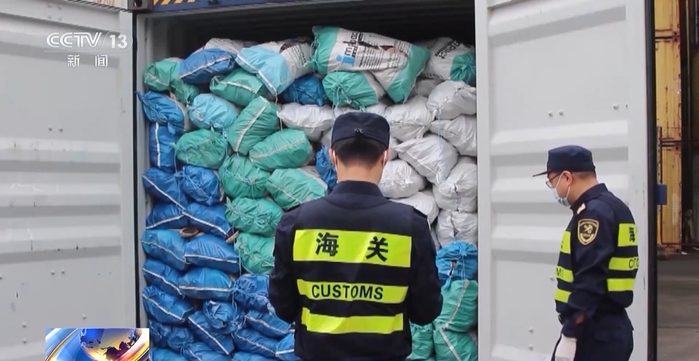 一竞技app装饰品变成“洋垃圾”？进口近11吨贝壳被罚款50万元(图9)