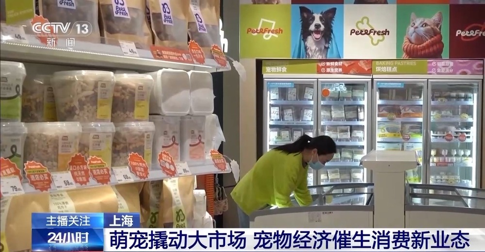 威客电竞入口带“毛孩子”社交逛吃 “宠物友好”型商圈玩转“它经济”(图8)