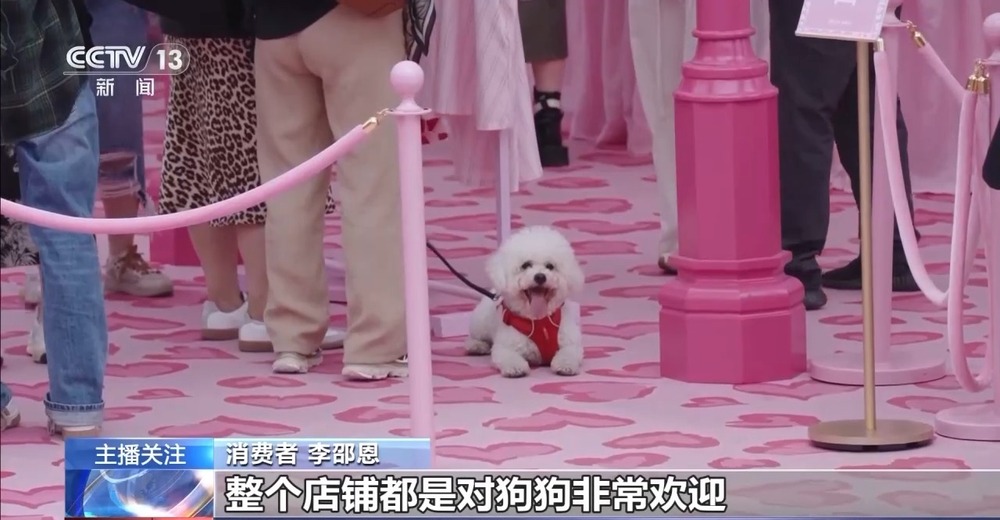 威客电竞入口带“毛孩子”社交逛吃 “宠物友好”型商圈玩转“它经济”(图1)