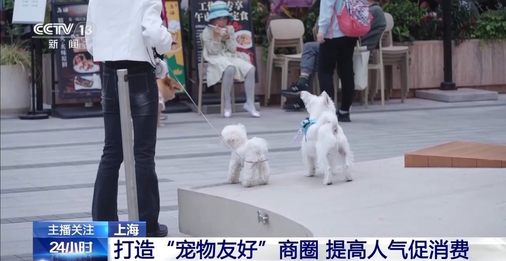 威客电竞入口带“毛孩子”社交逛吃 “宠物友好”型商圈玩转“它经济”(图2)