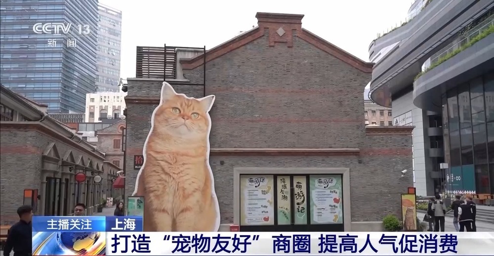 威客电竞入口带“毛孩子”社交逛吃 “宠物友好”型商圈玩转“它经济”(图4)