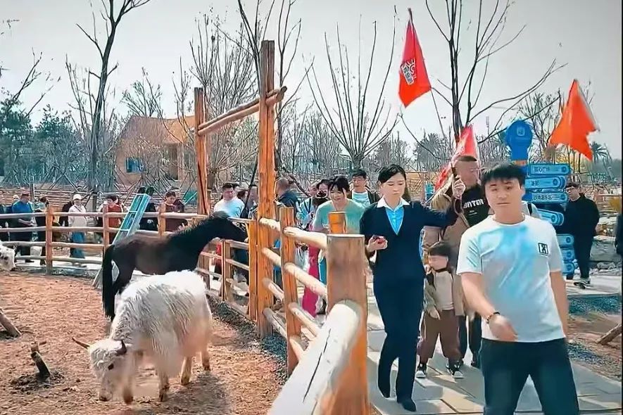 ͼƬ