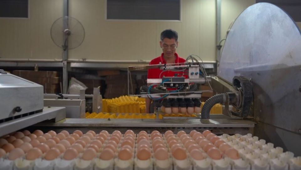 新华视点｜多措并举打好稳就业“组合拳”