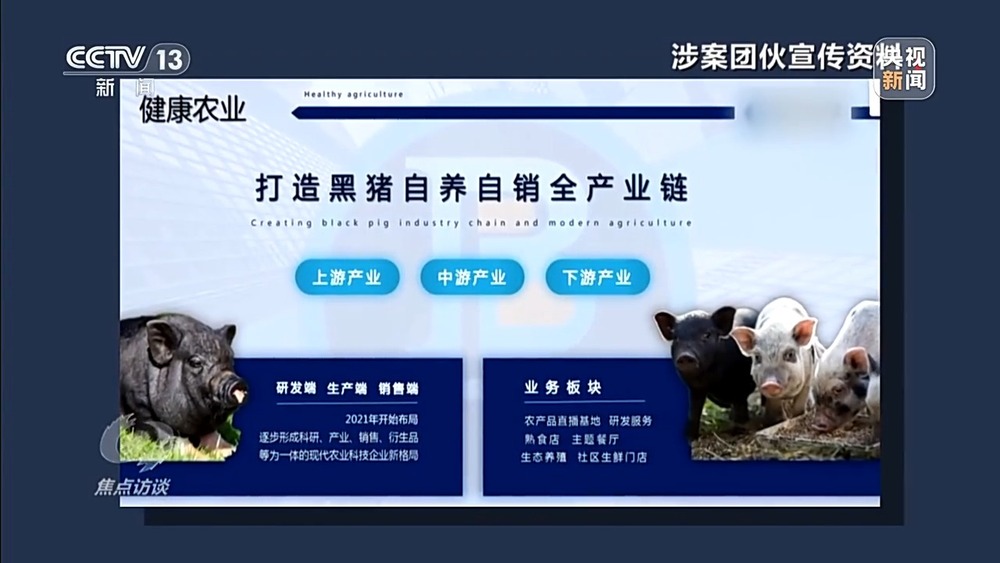 焦点访谈丨已有数万人被骗 起底“云养殖”里的骗局！黑料吃瓜总站骗局