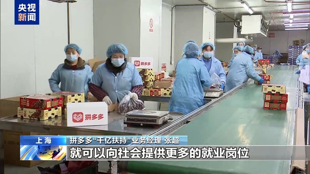 招聘_ 数字直播舱求职服务 _