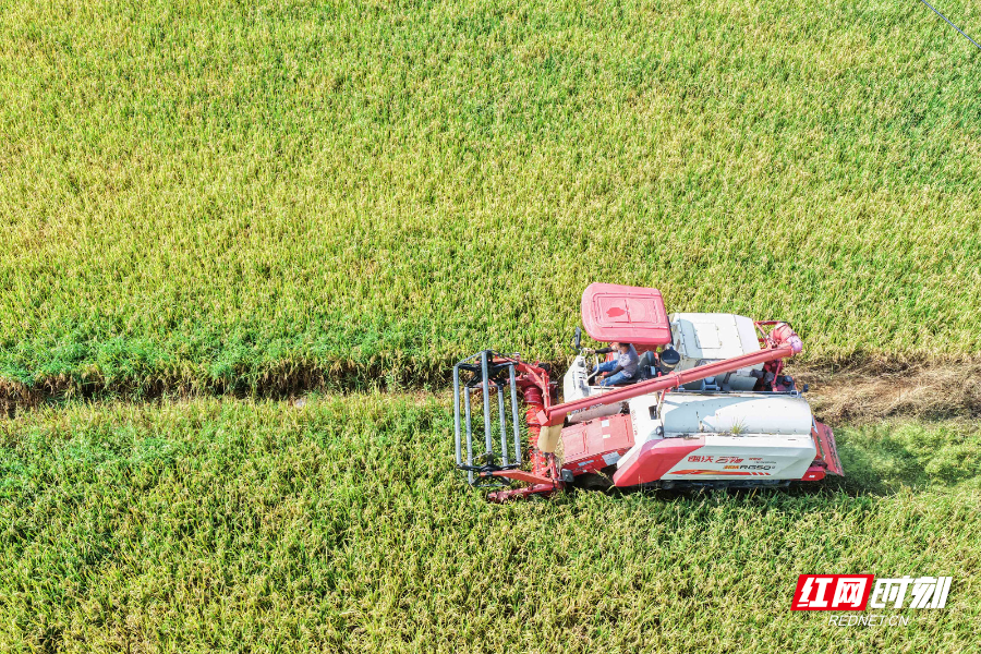 DJI_20250706091025_0018_D 拷貝.jpg DJI_20250706091025_0018_D 拷貝.jpg