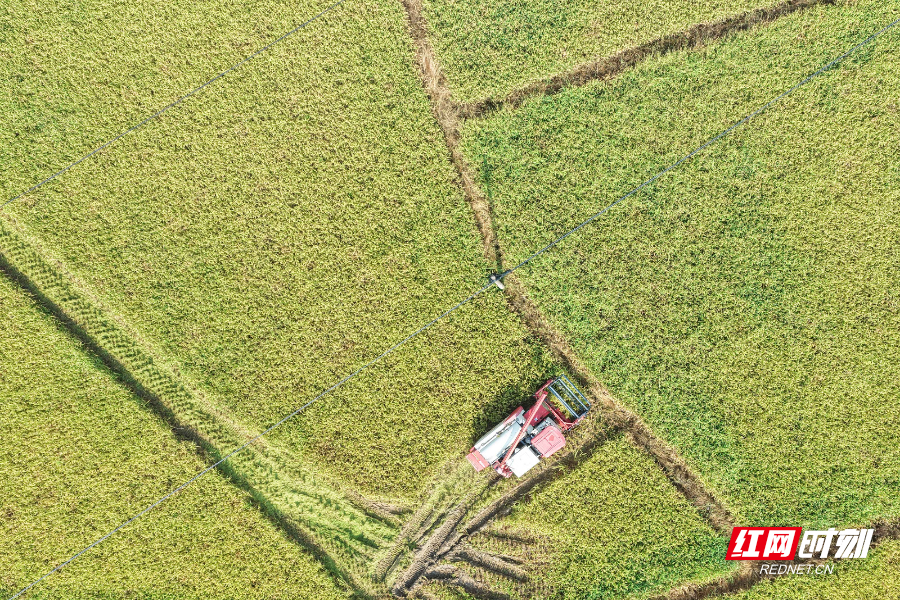 DJI_20250706090650_0011_D 拷貝.jpg DJI_20250706090650_0011_D 拷貝.jpg