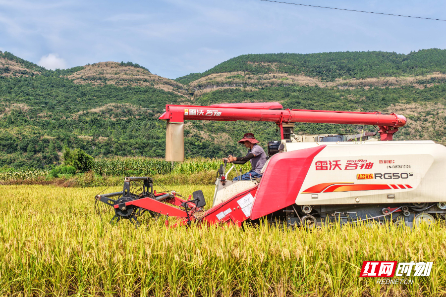 DJI_20250706094240_0043_D 拷貝.jpg DJI_20250706094240_0043_D 拷貝.jpg
