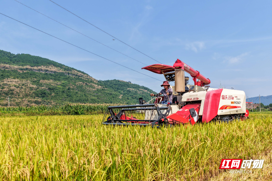 DJI_20250706094233_0042_D 拷貝.jpg DJI_20250706094233_0042_D 拷貝.jpg