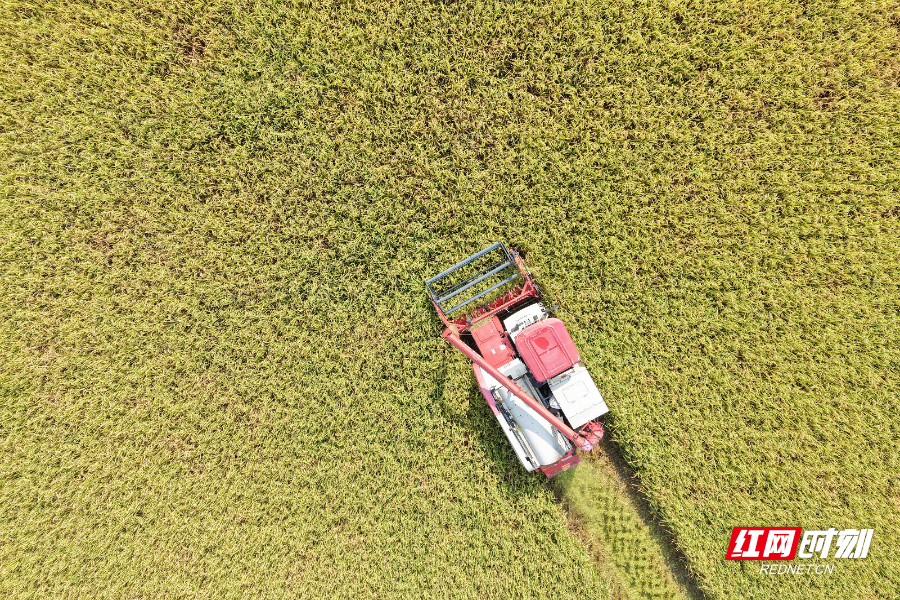 DJI_20250706090515_0007_D 拷貝.jpg DJI_20250706090515_0007_D 拷貝.jpg