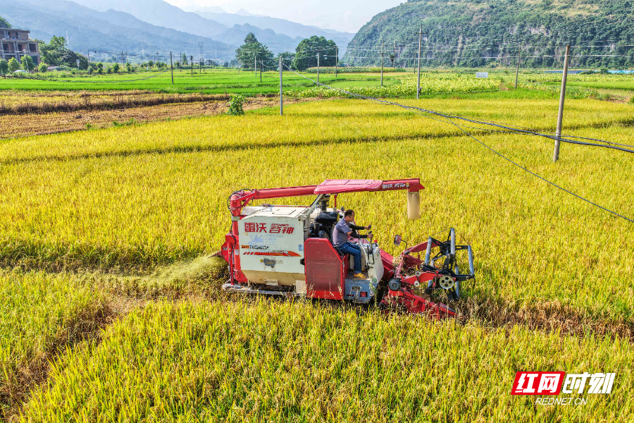 DJI_20250706090735_0013_D 拷貝.jpg DJI_20250706090735_0013_D 拷貝.jpg