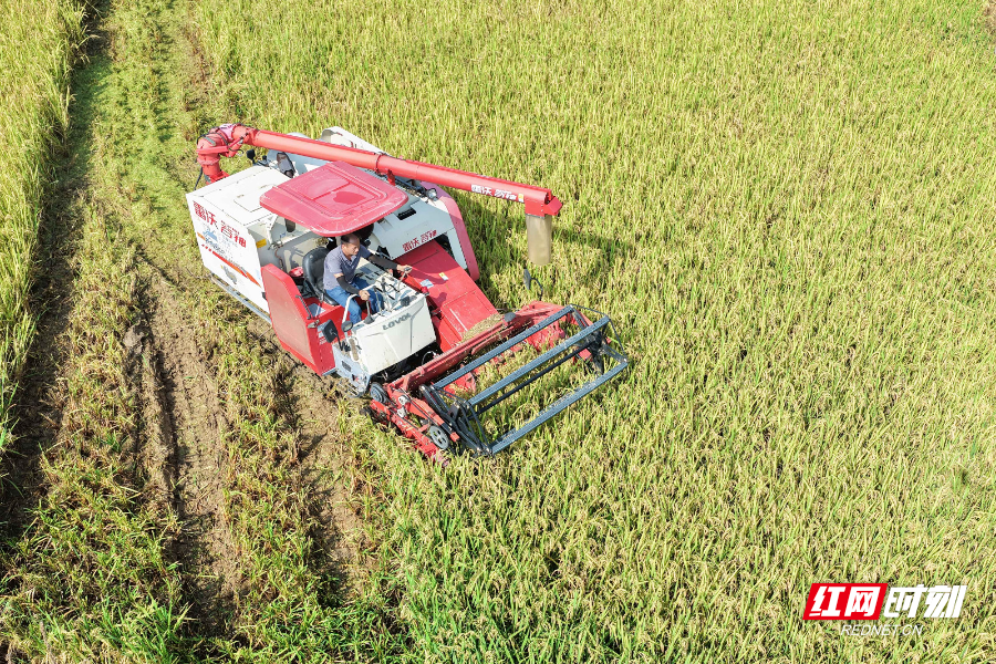 DJI_20250706090601_0009_D 拷貝.jpg DJI_20250706090601_0009_D 拷貝.jpg