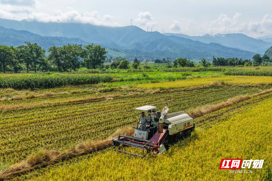 DJI_20250706101817_0078_D 拷貝.jpg DJI_20250706101817_0078_D 拷貝.jpg