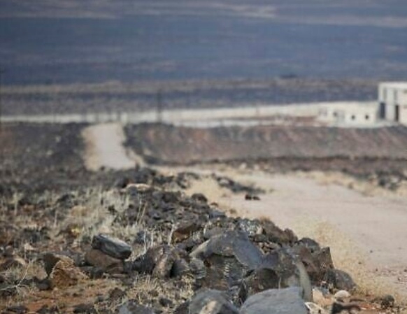 叙利亚南部发生武装冲突  死伤人数升至约130人