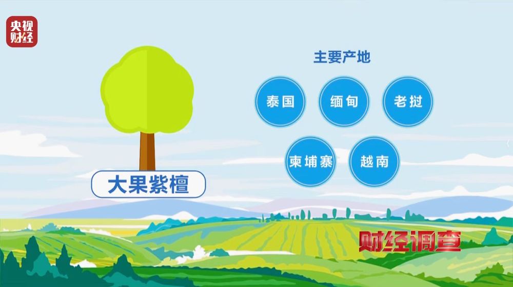 财经调查丨产地假的！证书按斤卖！曝光红木市场批量造假→(图8)