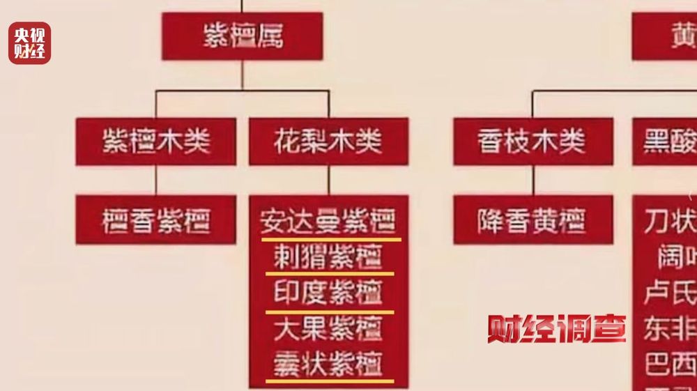 财经调查丨产地假的！证书按斤卖！曝光红木市场批量造假→(图18)