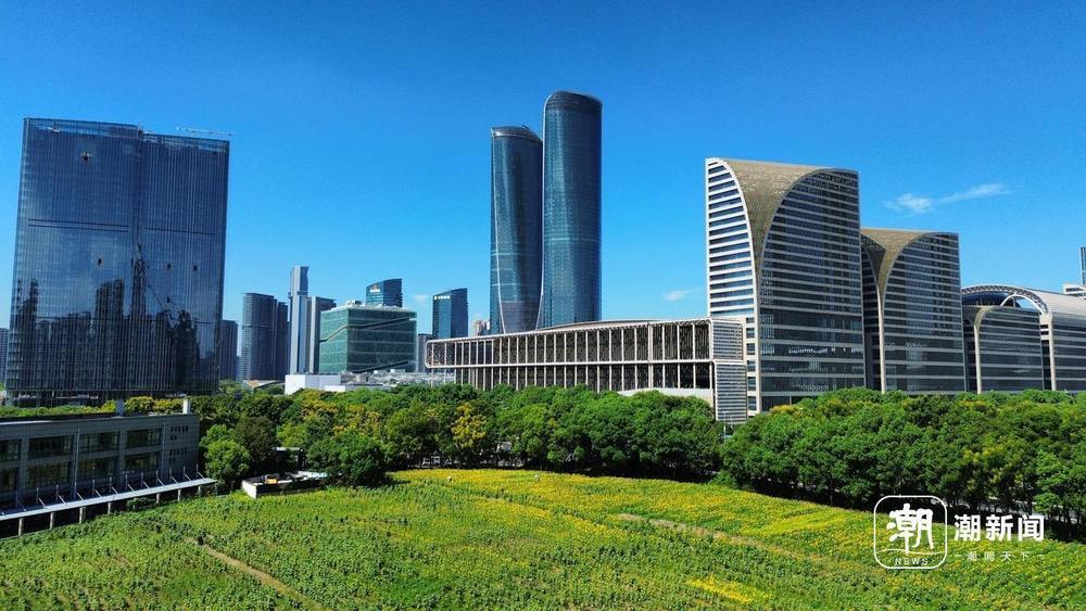 花海CBD来了_央广网