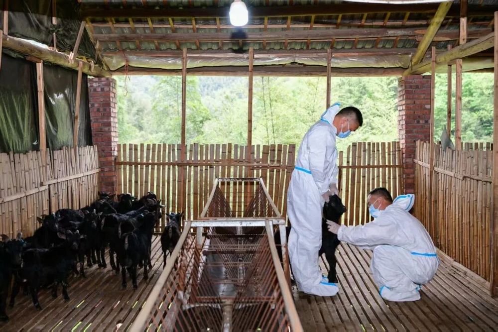 退役15年再获“全国先进工作者”称号