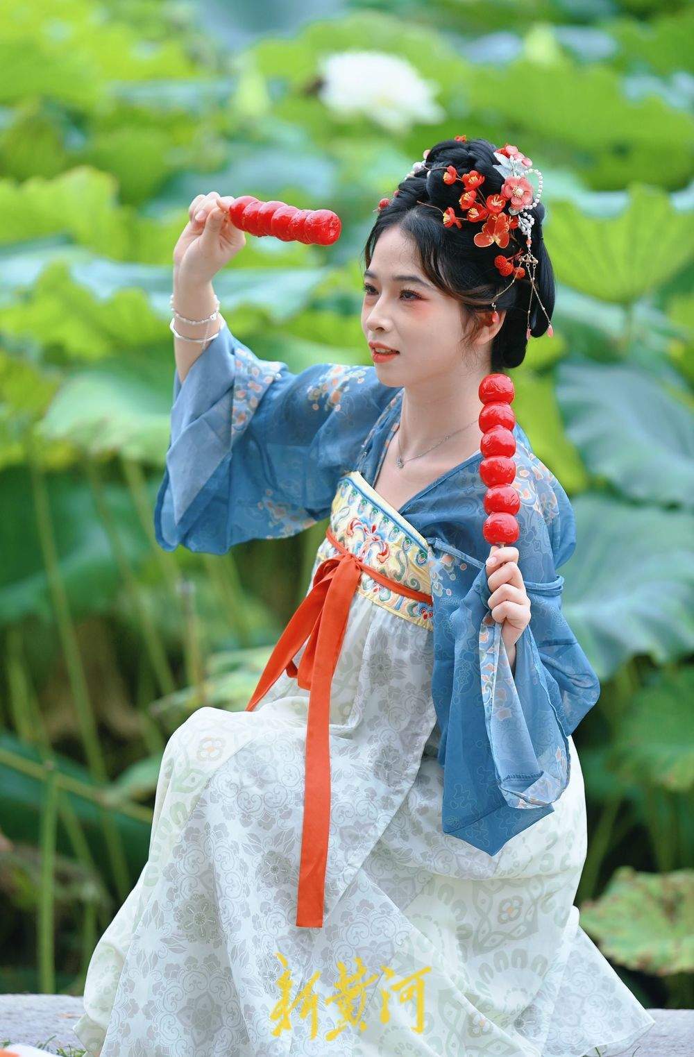 一年四季 泉在濟南丨初秋明湖雨荷打卡 泉城美景入畫來