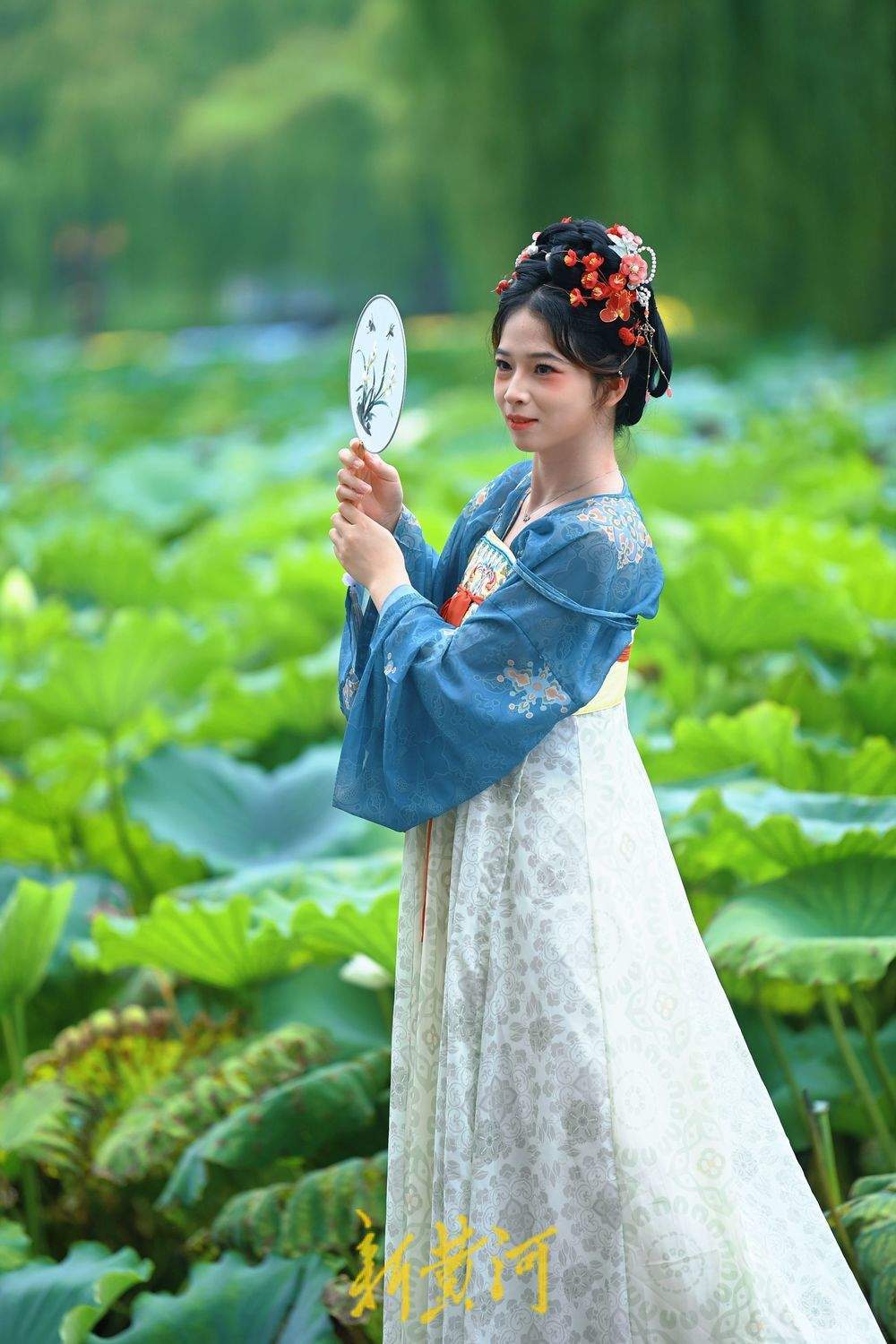 一年四季 泉在濟南丨初秋明湖雨荷打卡 泉城美景入畫來