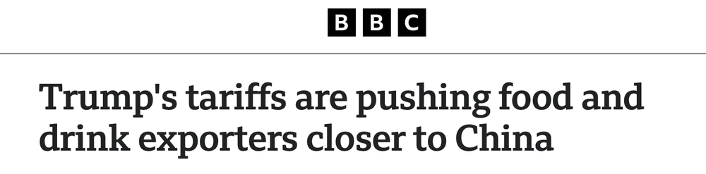 K8凯发娱乐全球媒体聚焦｜“中国已成巴西咖啡出口商的‘希望之|疼插30分钟一卡二