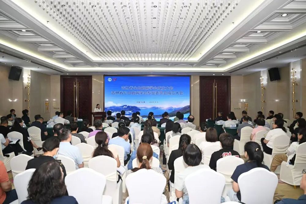 吉林安贞医院：推动医疗创新与协作的典范