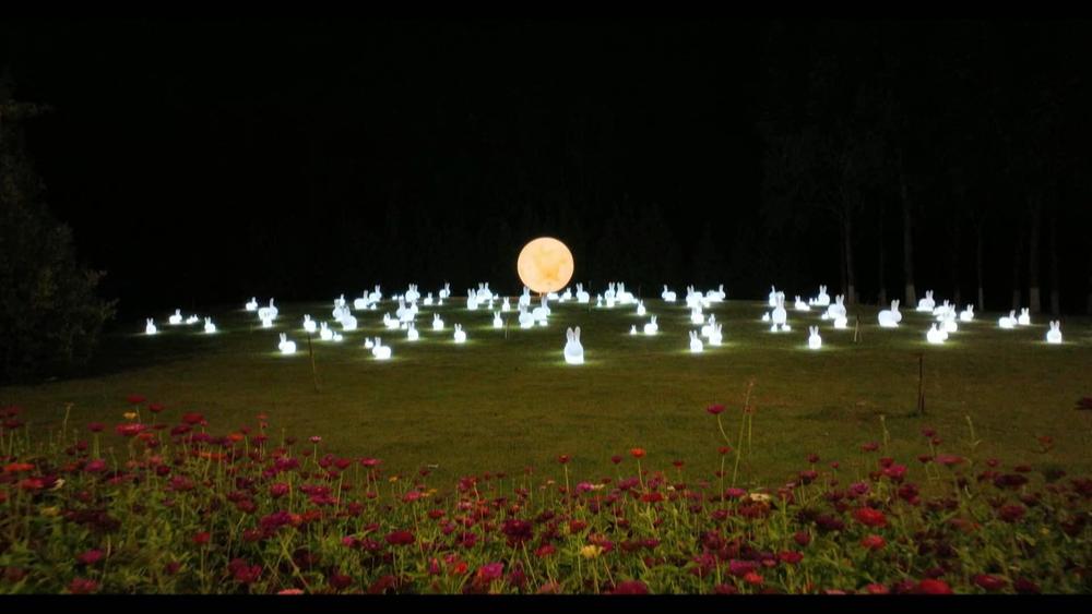 花博园，更靓了！