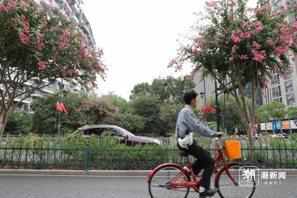 国庆临近 杭州满城"中国红"