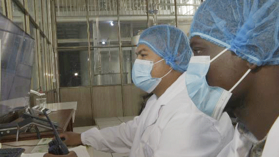 共筑金色梦想丨中国技术为刚果(布)开“粮”方:“这是最优质的木薯粉”